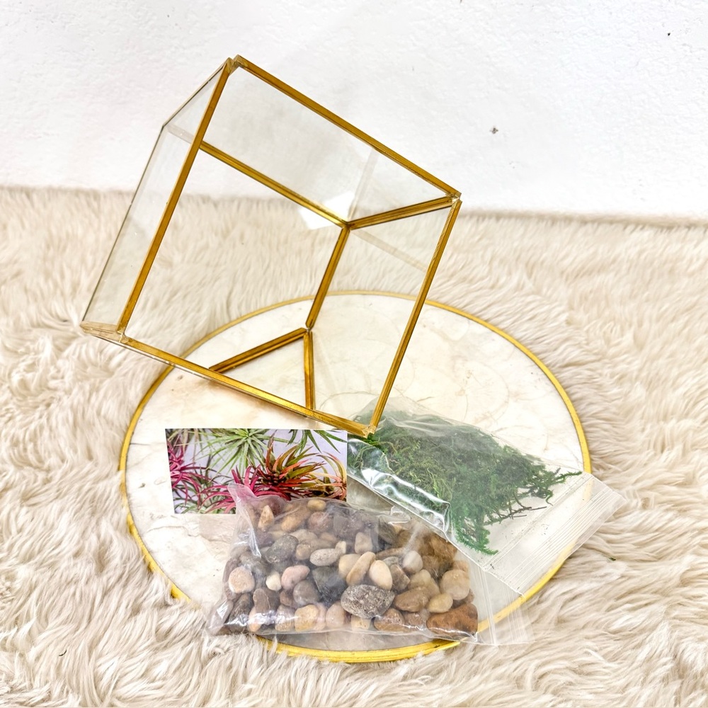 Terrarium Kit Gold Geometric Glass w/ Moss Accent Rocks for Air Plants Succulent